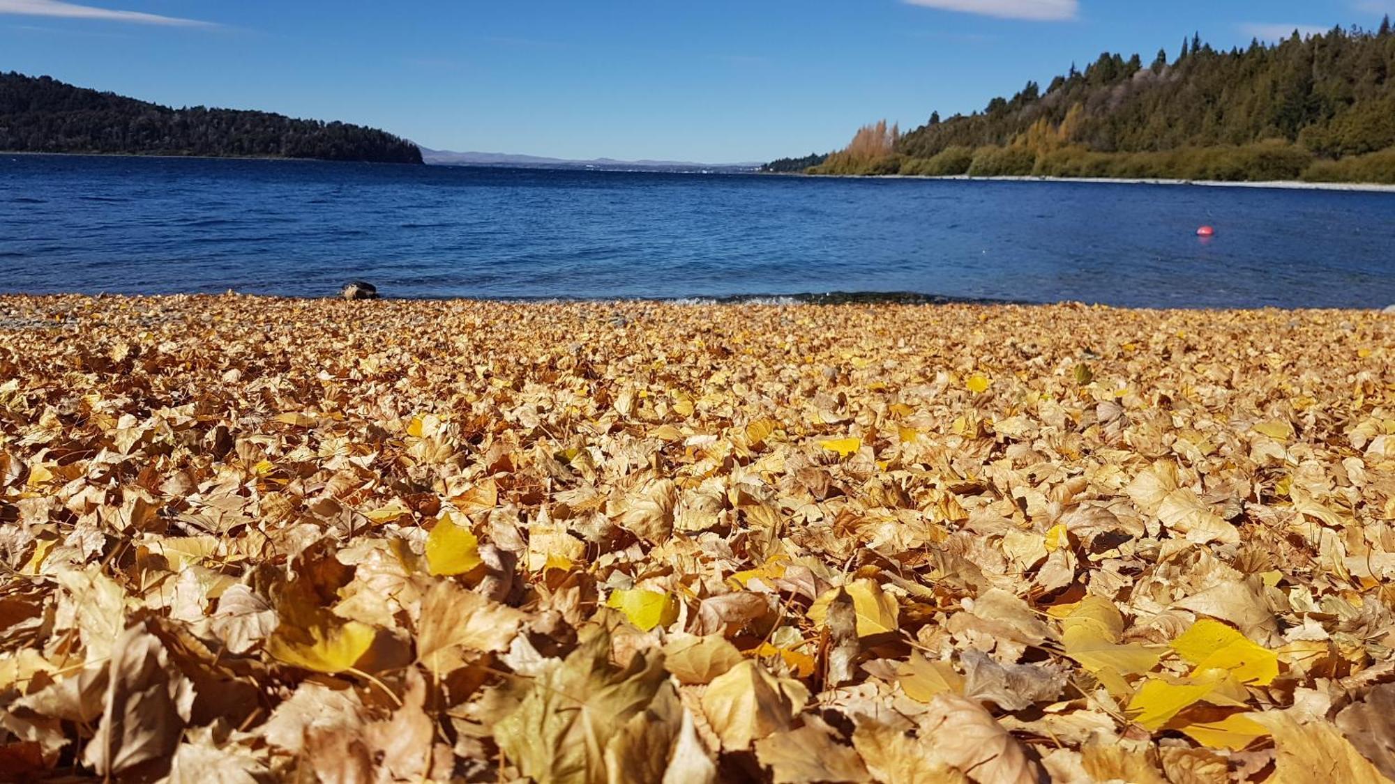 Confortable Y Hermosa Casa En San Carlos de Bariloche